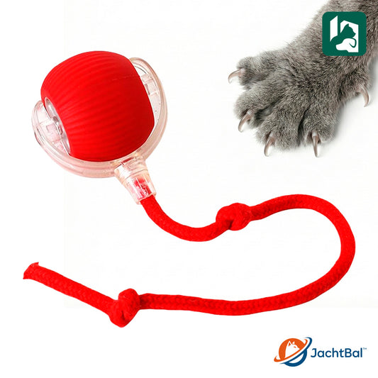 Cat Scratcher and Massager