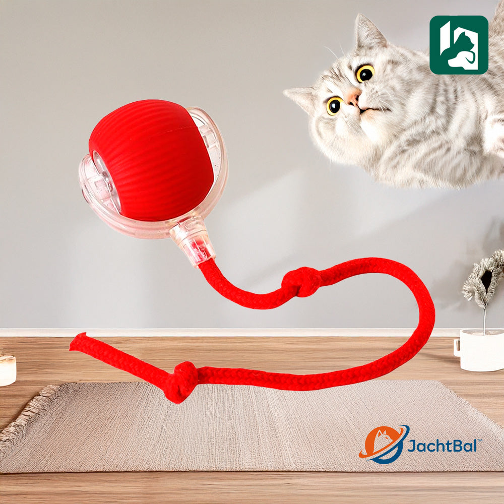 Cat Scratcher and Massager