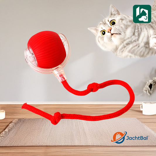 Cat Scratcher and Massager