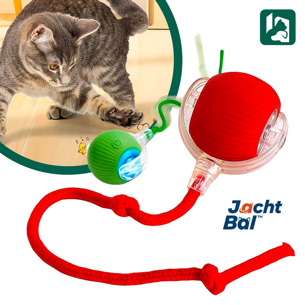 JachtBal™: Automatic Cat Ball