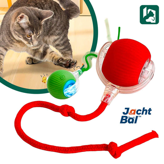 JachtBal™: Automatic Cat Ball