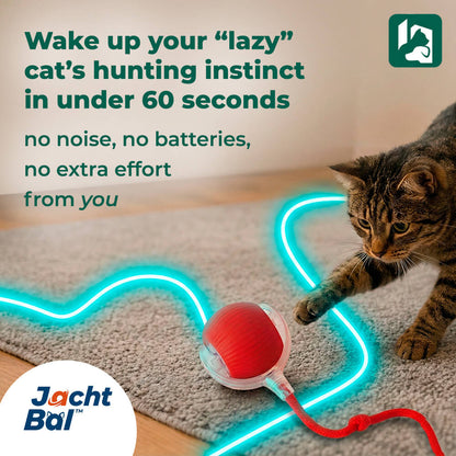 JachtBal™: Automatic Cat Ball