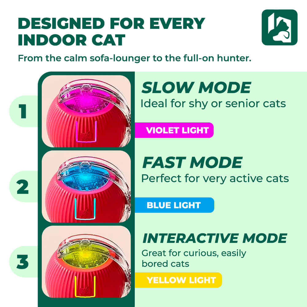 JachtBal™: Automatic Cat Ball