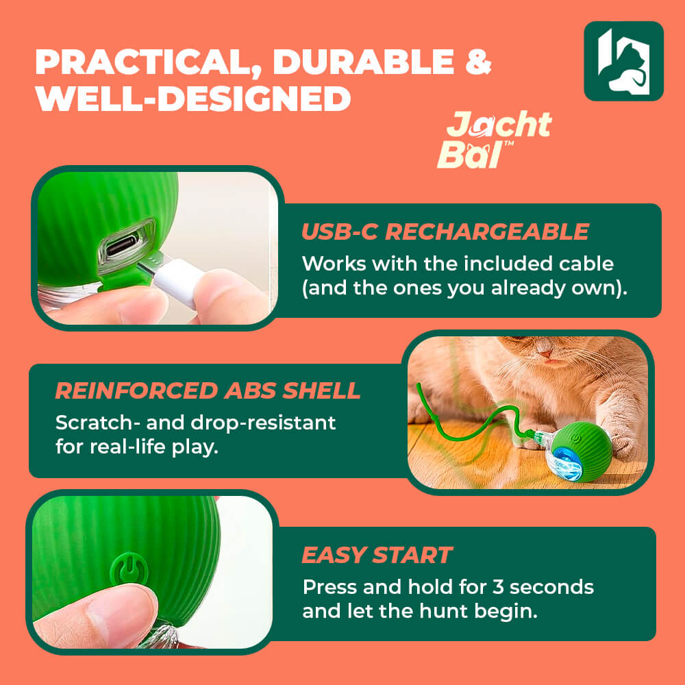 JachtBal™: Automatic Cat Ball