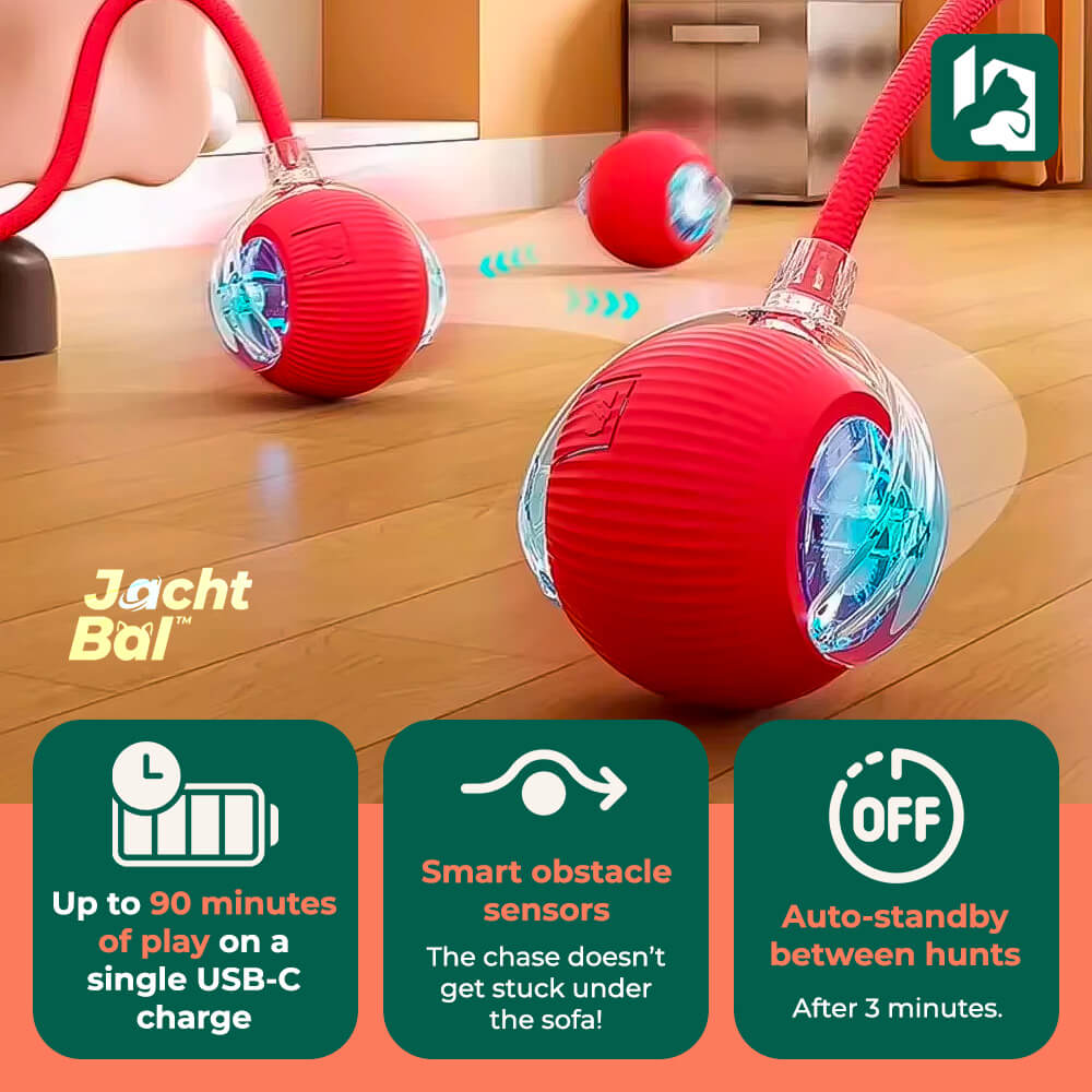 JachtBal™: Automatic Cat Ball
