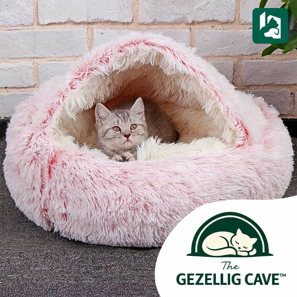 The Gezellig Cave™: Your Cat's Winter Blues Rescue