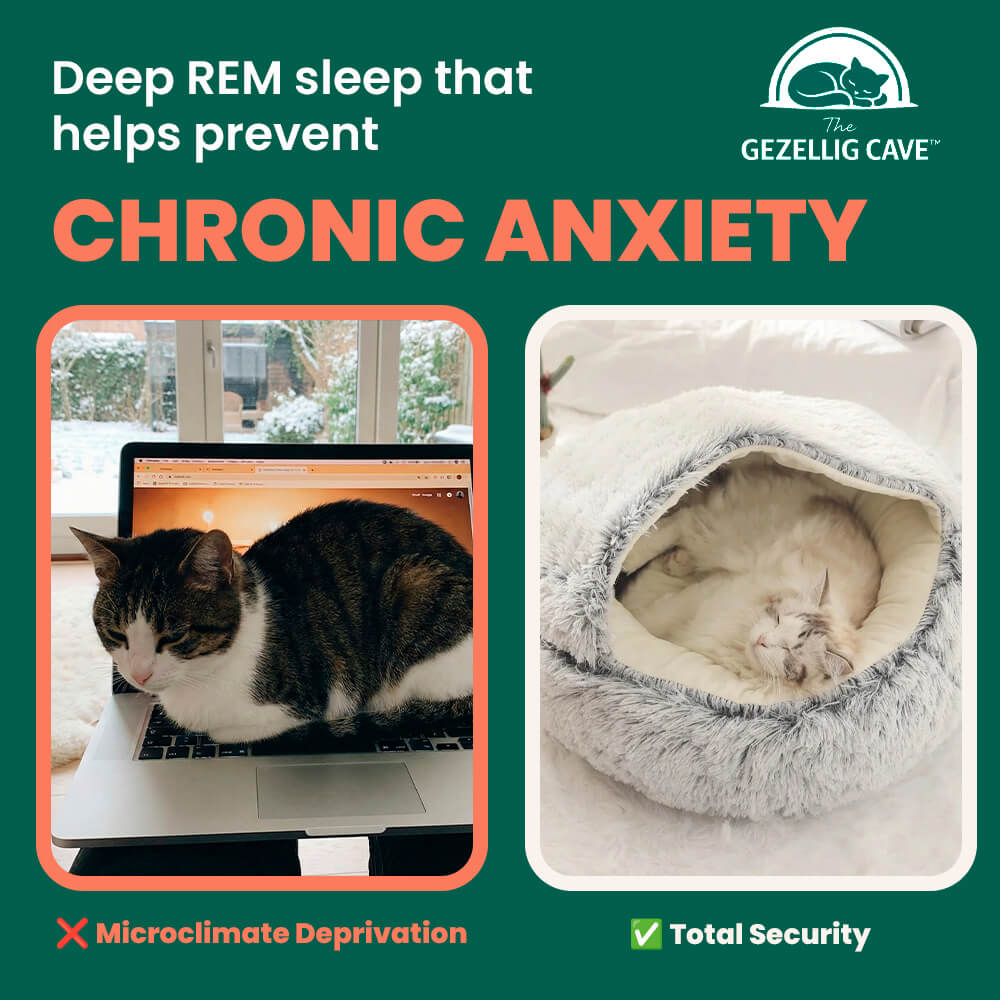 The Gezellig Cave™: Your Cat's Winter Blues Rescue