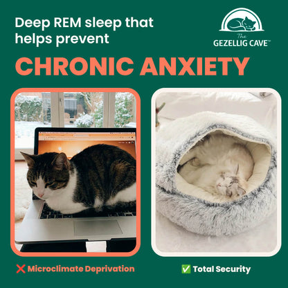 The Gezellig Cave™: Your Cat's Winter Blues Rescue