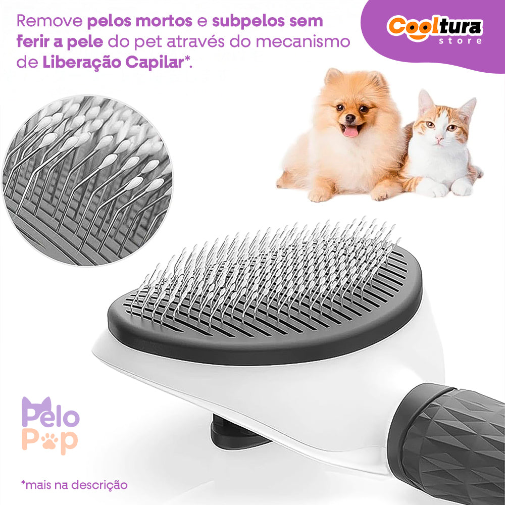 Teste DOG BALL